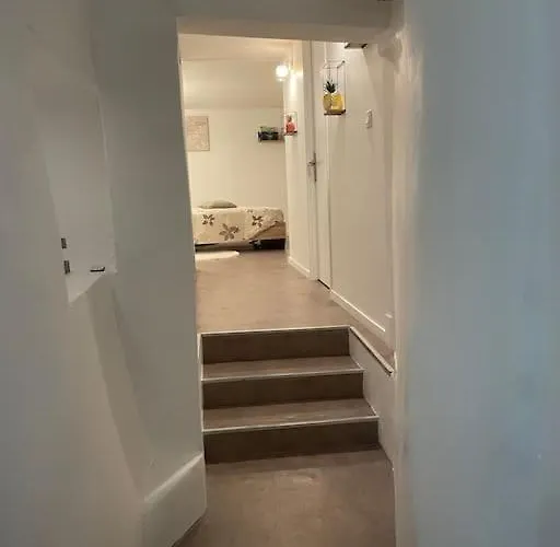 Apartament T1 Renove