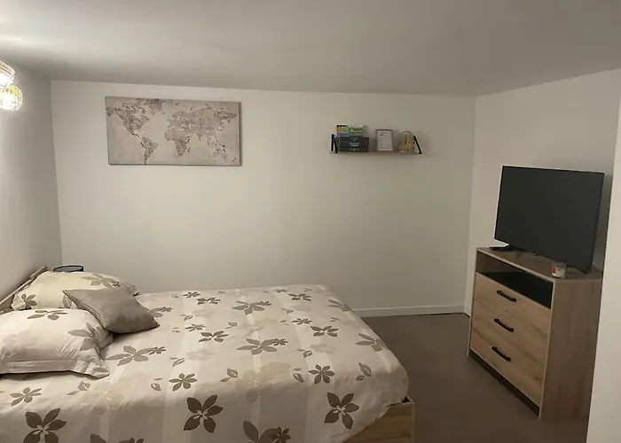 T1 Renove Gigean