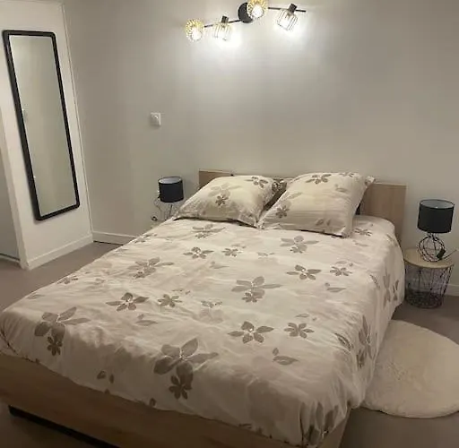 T1 Renove Gigean